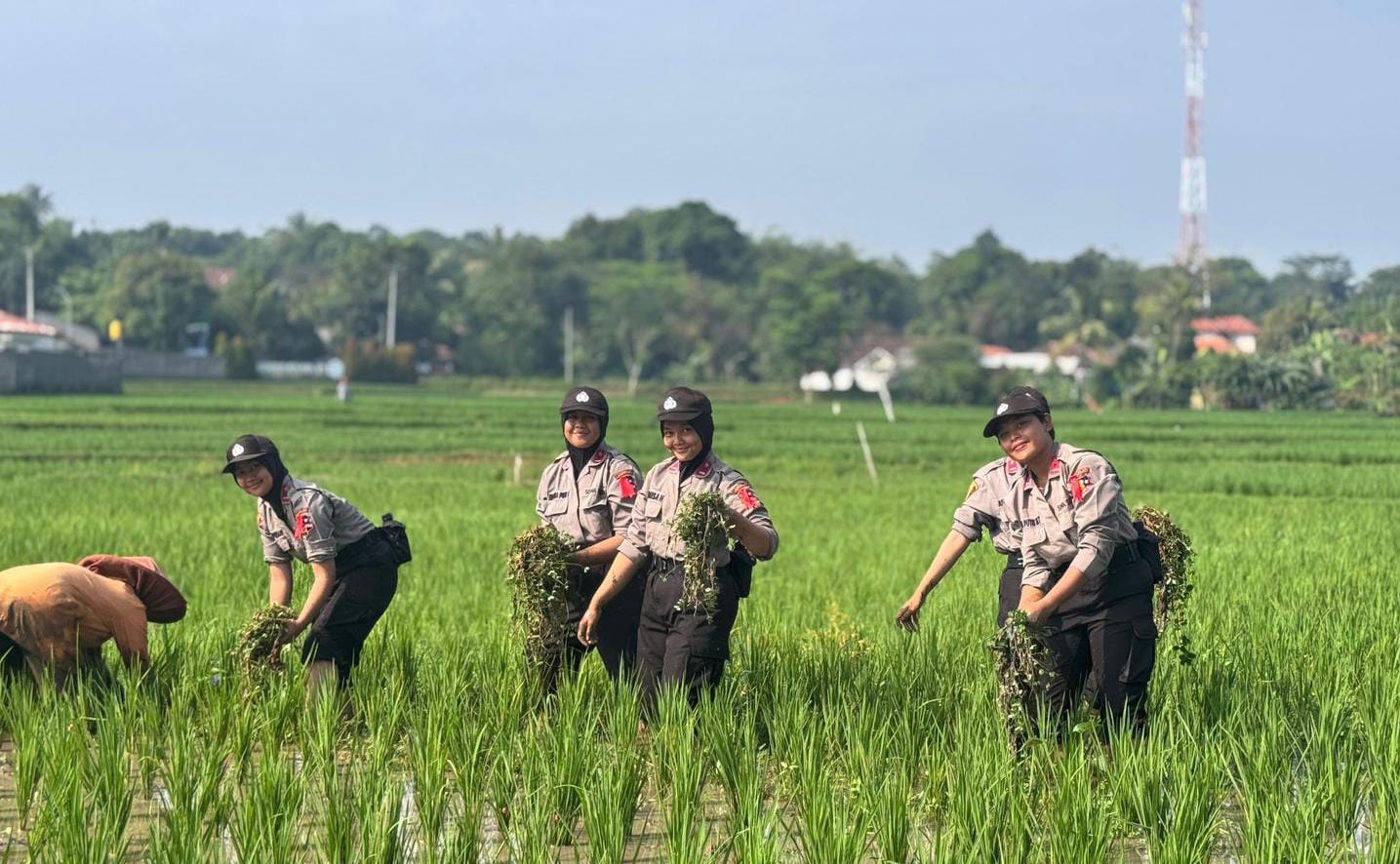 Inovasi Pelatihan Siswa Polwan 2025: Dari Pengabdian Desa hingga SPPG POLRI